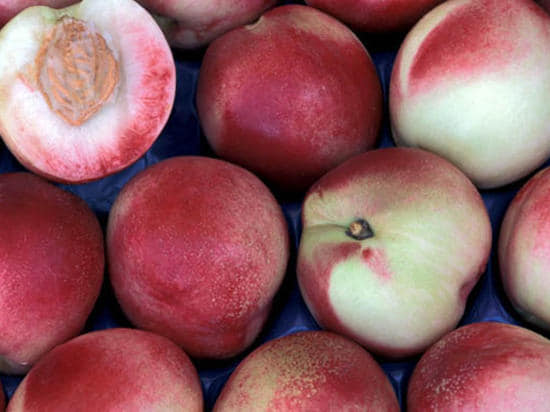 Confettura extra Pesca Bianca e Zafferano 200g