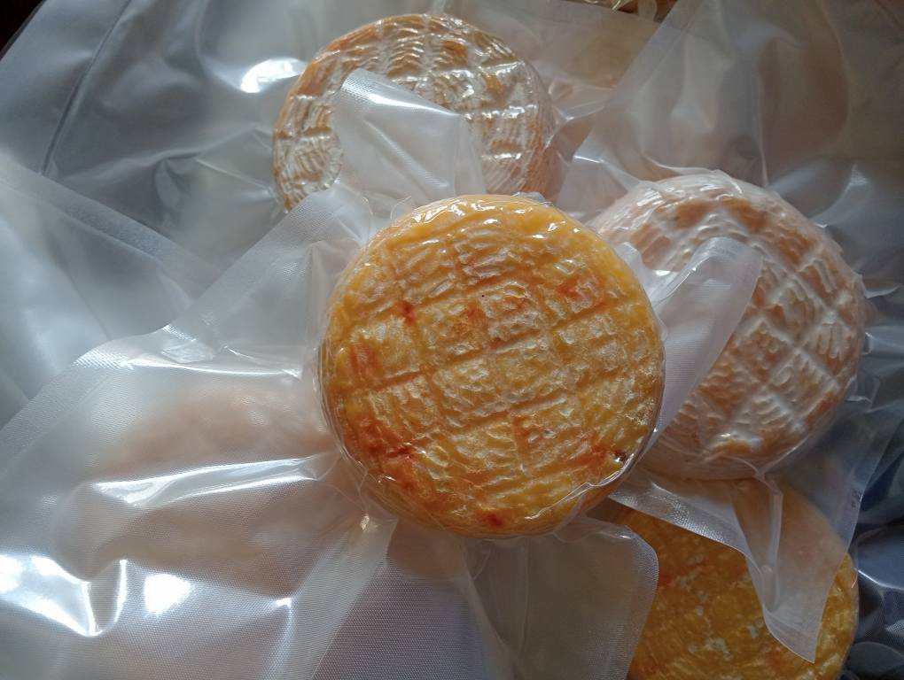 Caciotta vaccina allo zafferano lavorazione a crudo